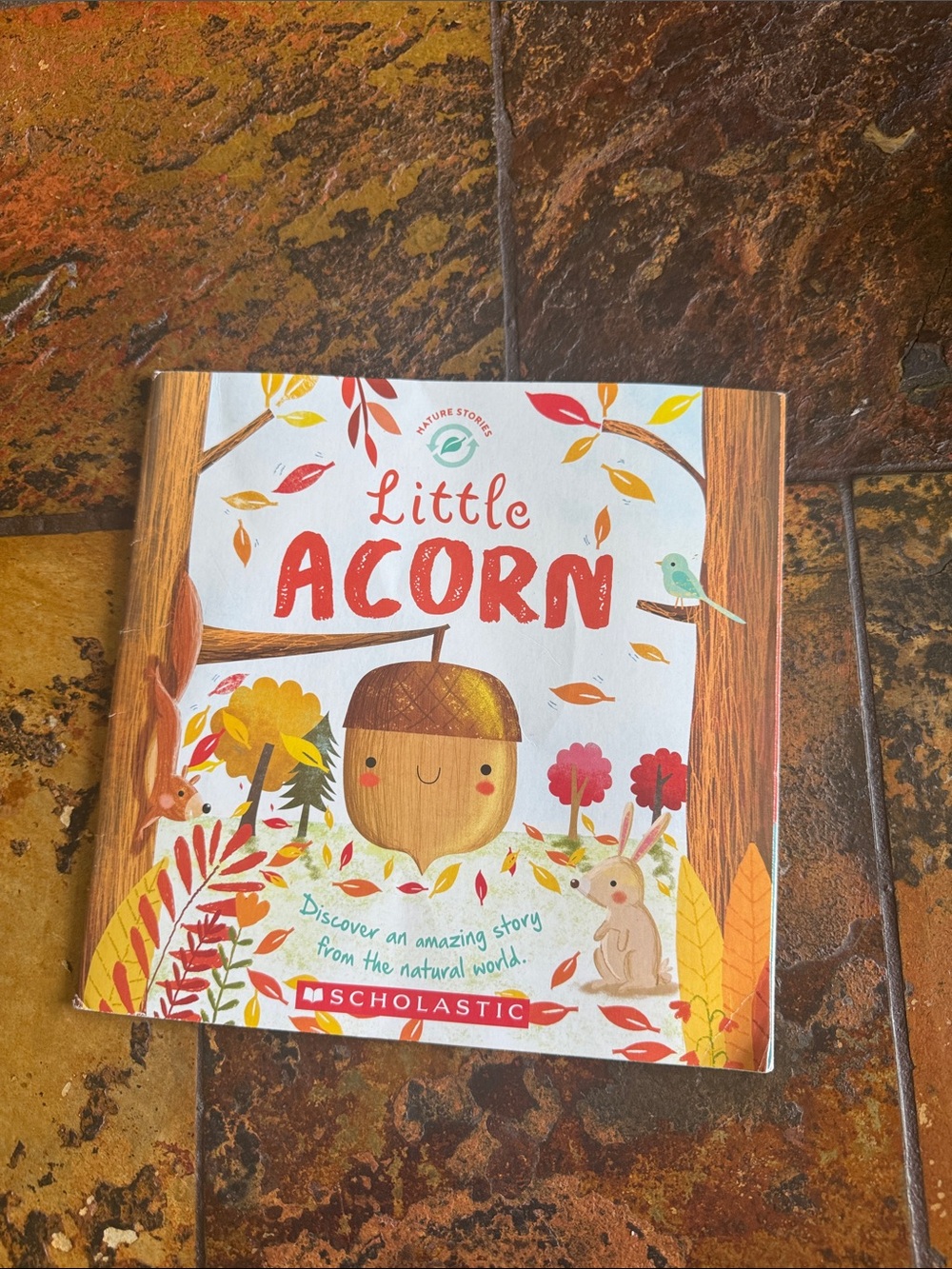 Scholastic Little Acorn Picture Book - Brown, Red, Yellow